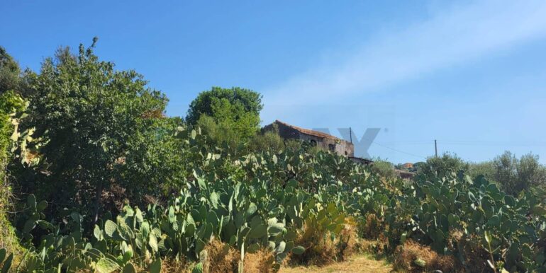 20250729164035-972354-10