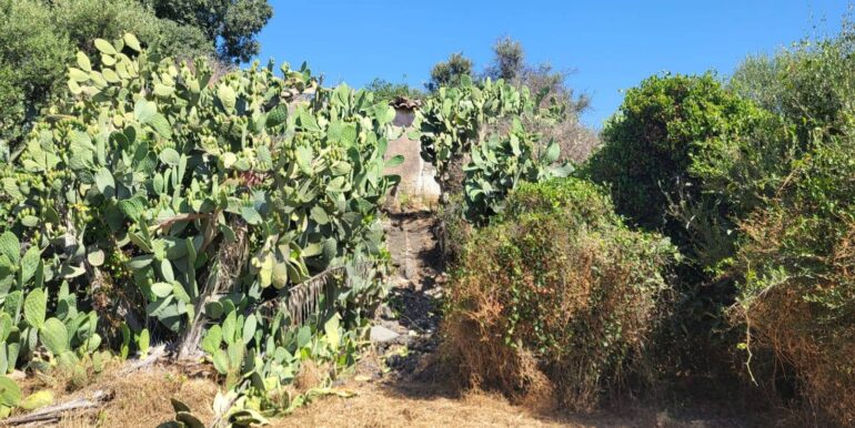 20250729164040-972354-12