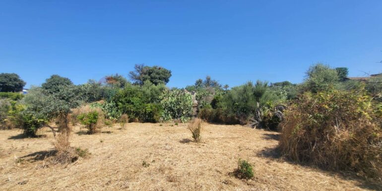 20250729164053-972354-17