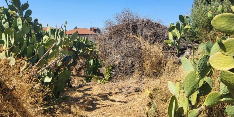 20250729164056-972354-18