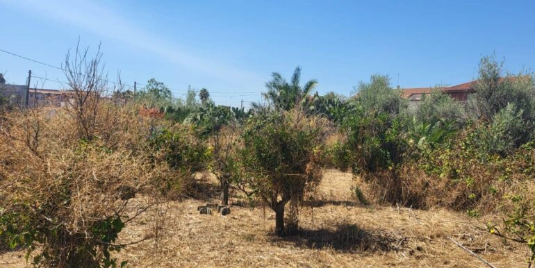 20250729164059-972354-19