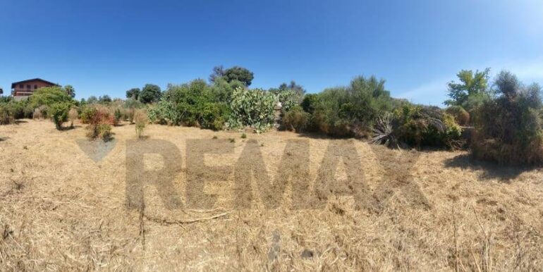 20250729164103-972354-20