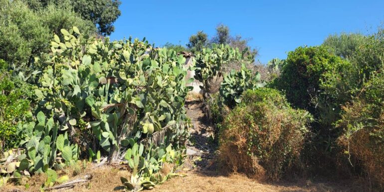 20250729164454-972354-21