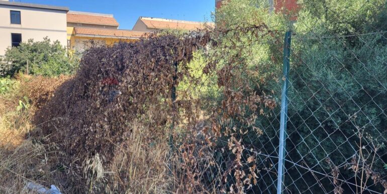 20250730120739-972158-1