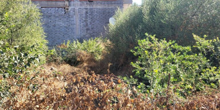 20250730120747-972158-3