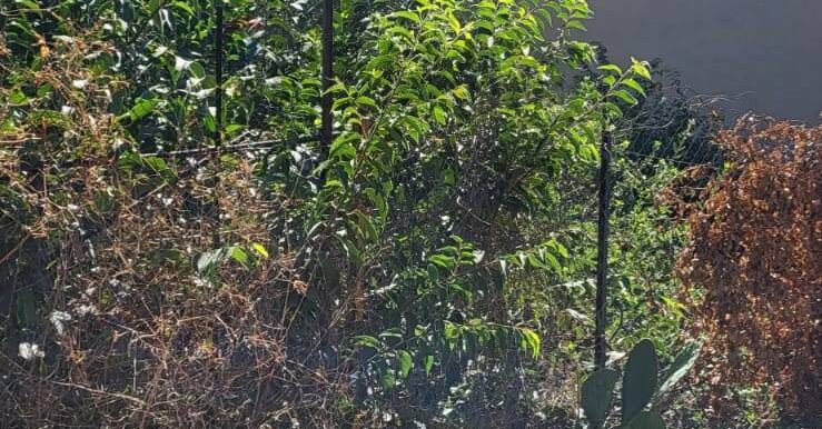 20250730120751-972158-4