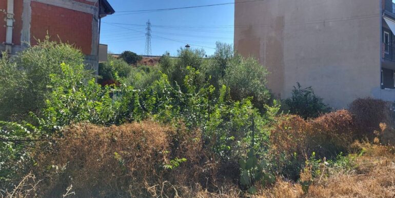 20250730120758-972158-6