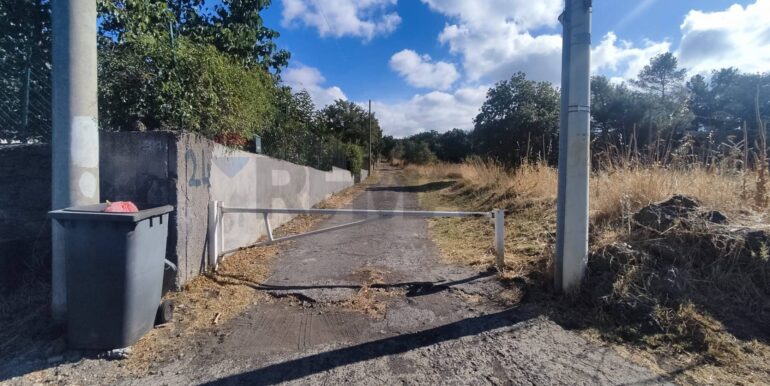 20250730234125-972679-2