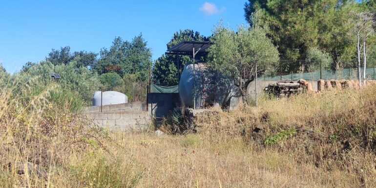 20250730234135-972679-5