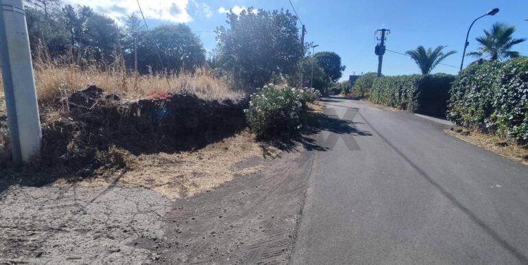 20250730234139-972679-6