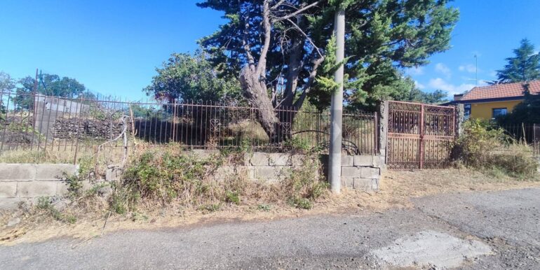 20250730234141-972679-7