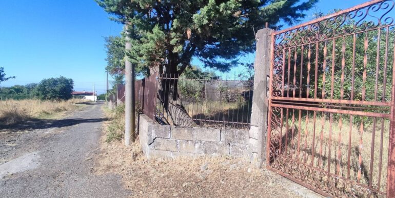 20250730234145-972679-8