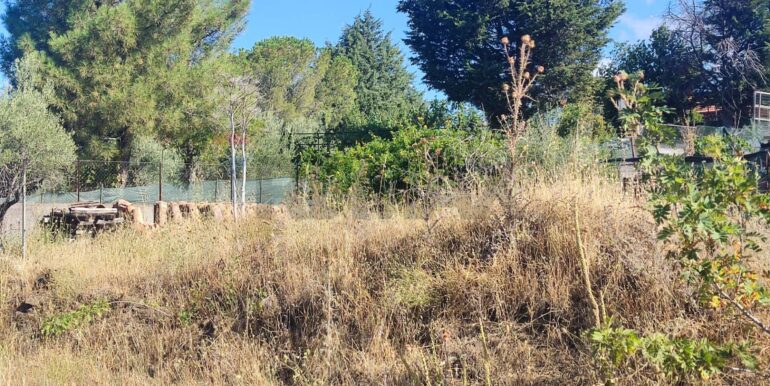 20250730234149-972679-9