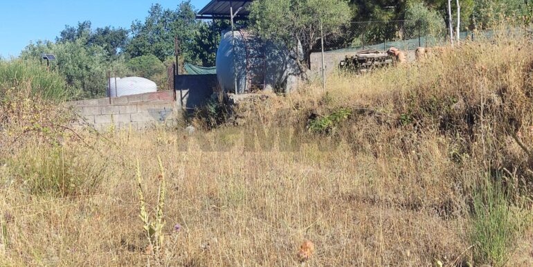 20250730234153-972679-10