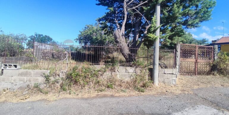 20250730234201-972679-12