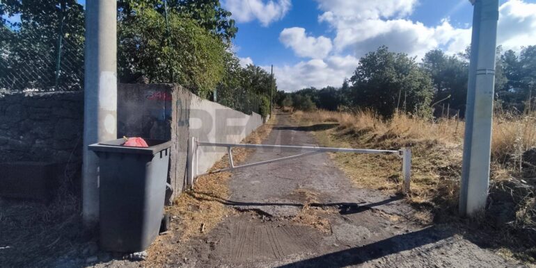 20250730234220-972679-17