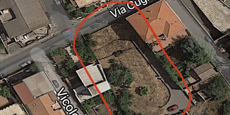 20250801100235-972938-0