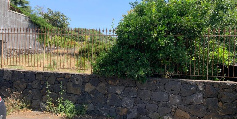 20250801100236-972938-6