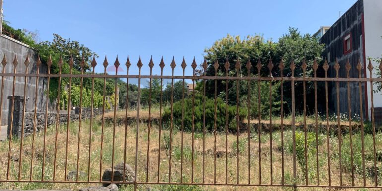 20250801100236-972938-7