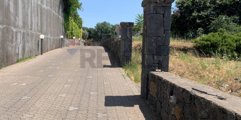 20250801100237-972938-9