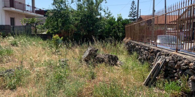 20250801100238-972938-12