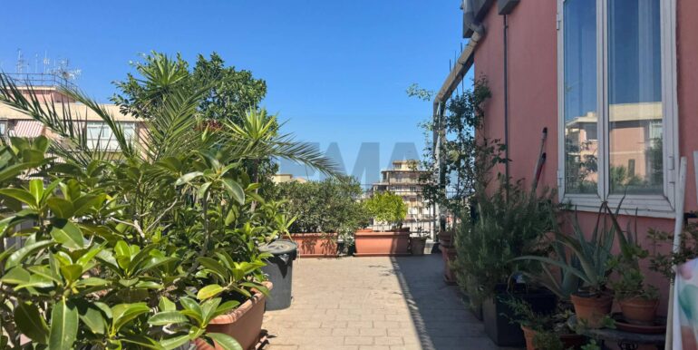 20250802125039-973164-4