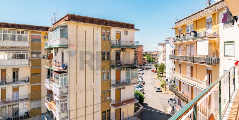 20250804110046-973220-8