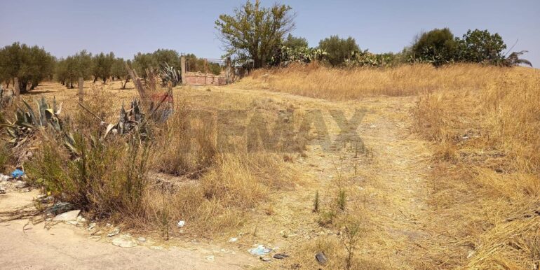 20250805171719-971949-2