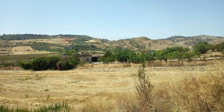 20250805171743-971949-9