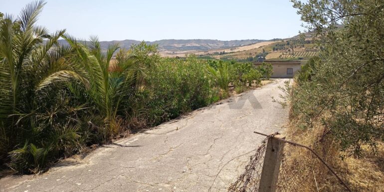 20250805171751-971949-11