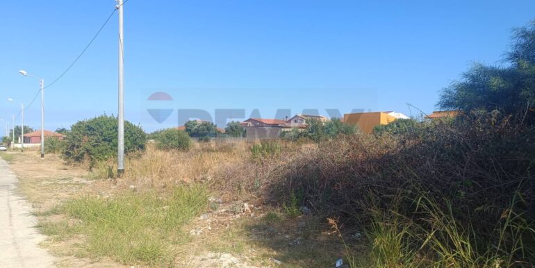 20250805173017-973537-8