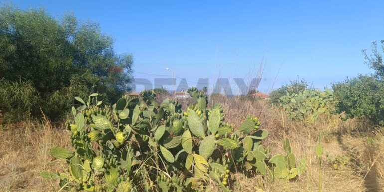 20250805173028-973537-11