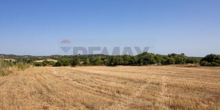 20250806123738-973907-1