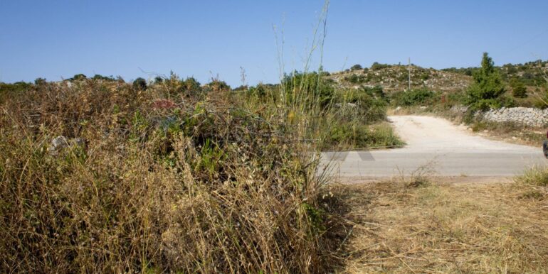 20250806123743-973907-2