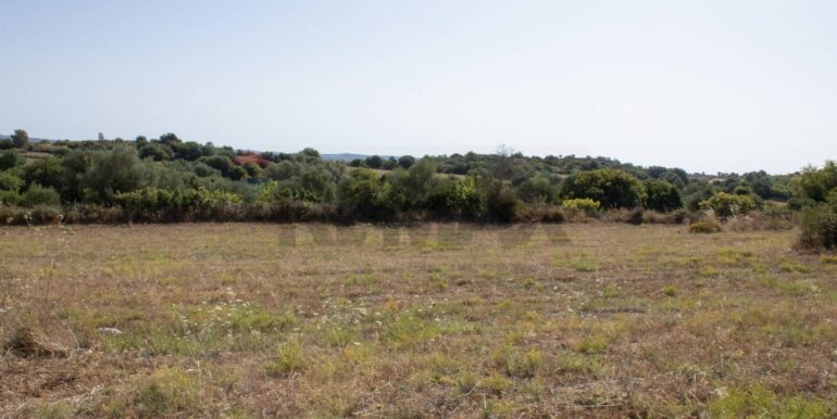 20250806123746-973907-3