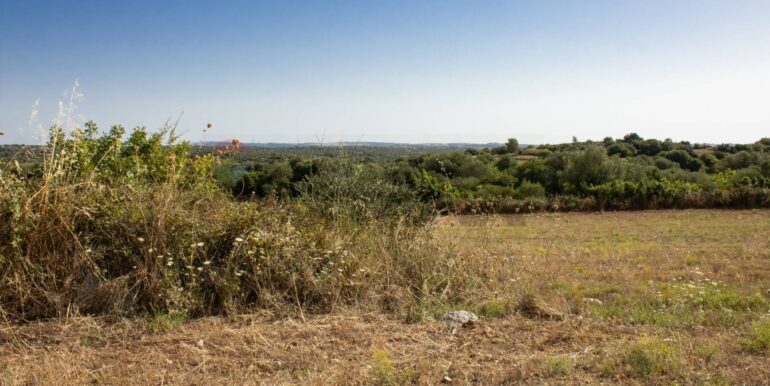 20250806123750-973907-4