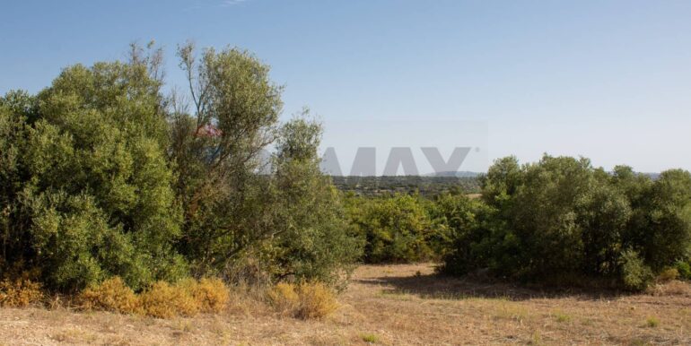 20250806123800-973907-7