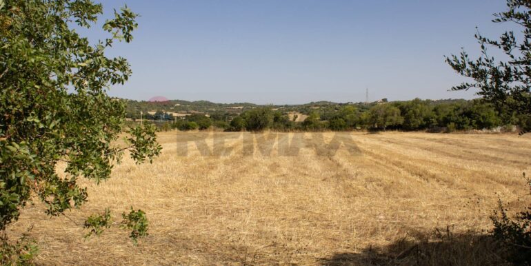 20250806123804-973907-8