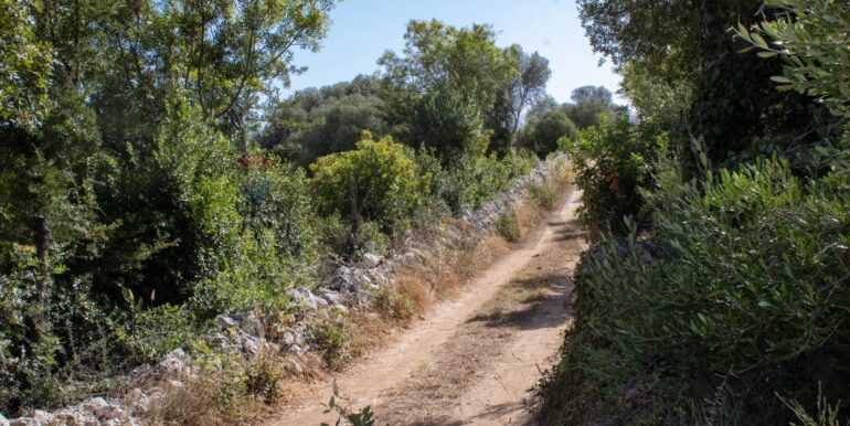 20250806123808-973907-9