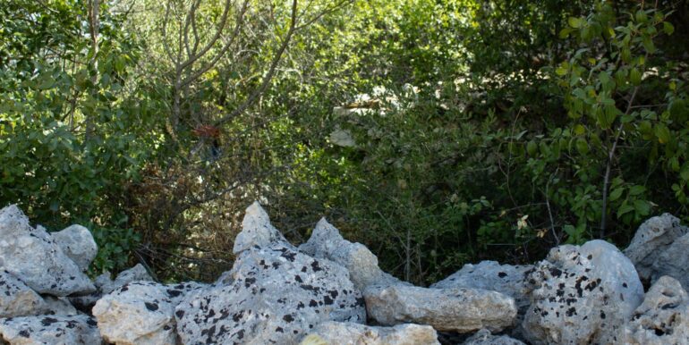 20250806123812-973907-10