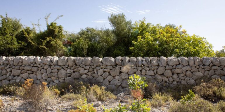 20250806123821-973907-12