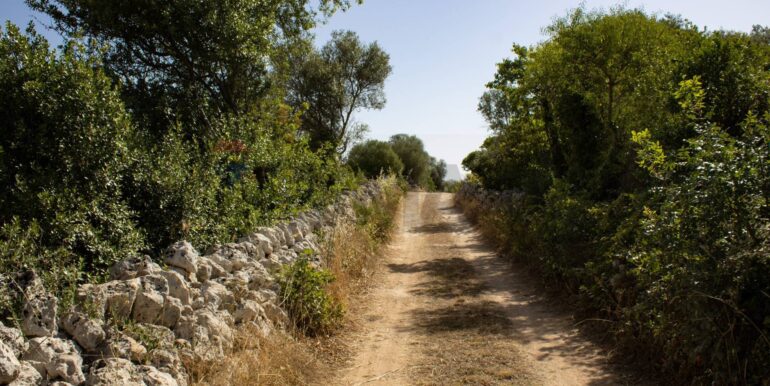 20250806123825-973907-13