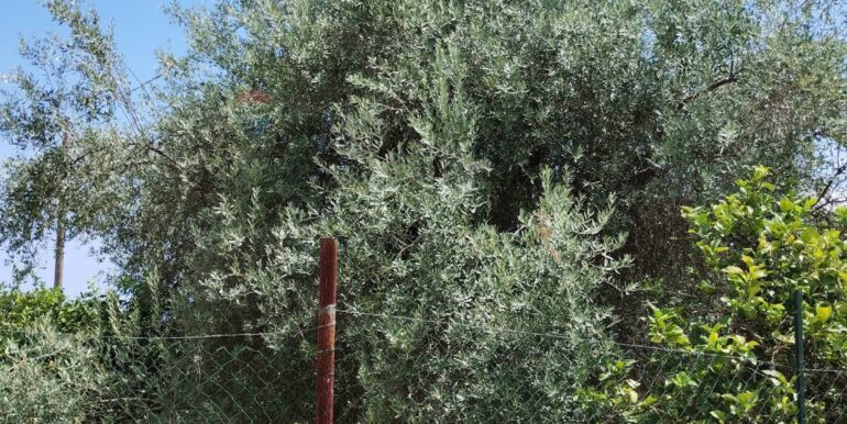 20250806134951-973365-1