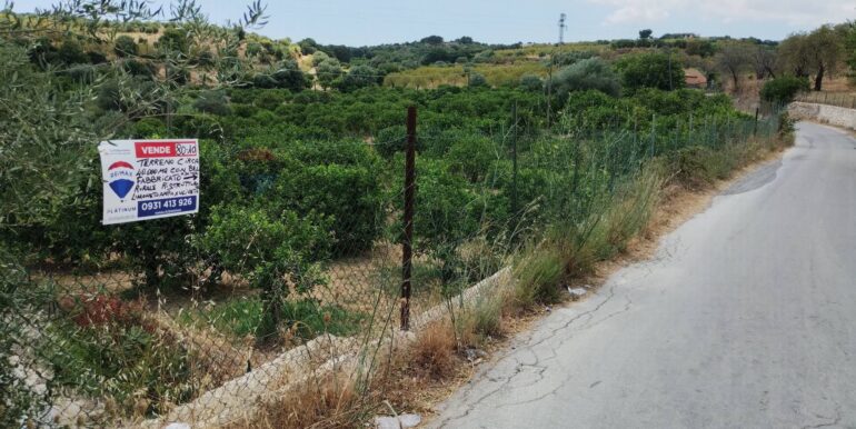 20250806135001-973365-3