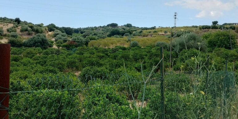 20250806135006-973365-4