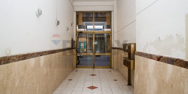 20250806225001-974014-5