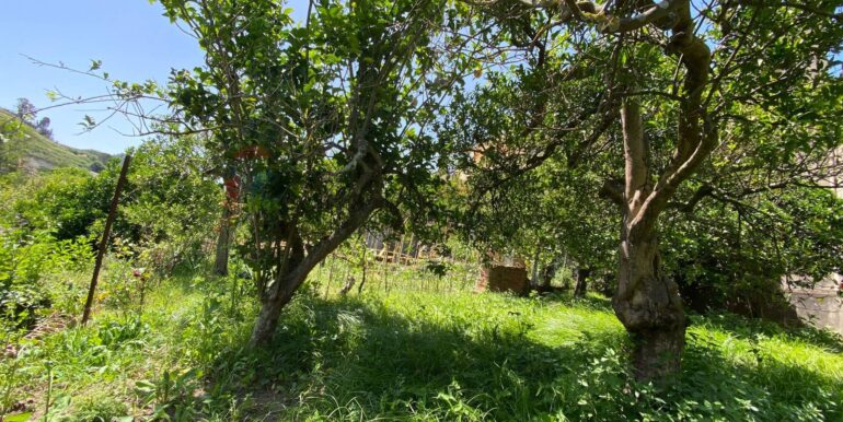 20250812114822-974689-2