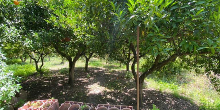 20250812114827-974689-3