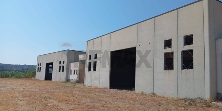 20250819165559-975070-1