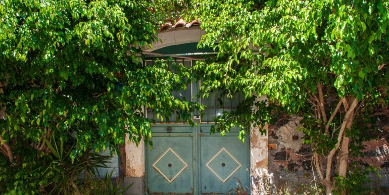 20250820100003-975086-17